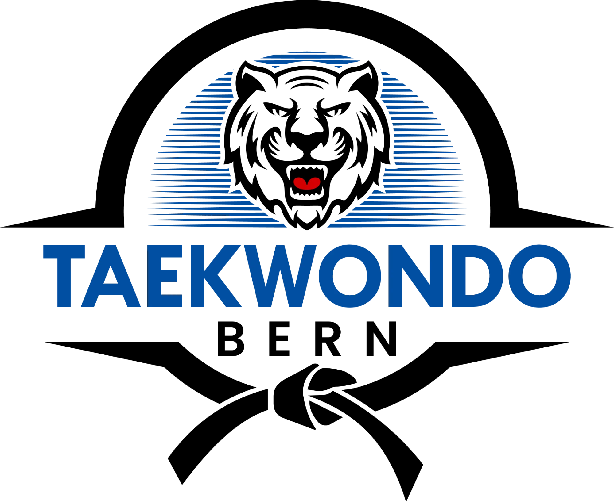 TKD Bern Logo